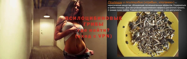 гашик Наволоки