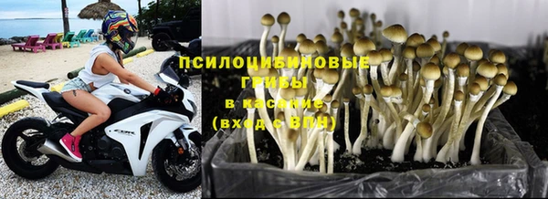 спиды Навашино