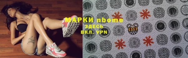 хмурый Надым