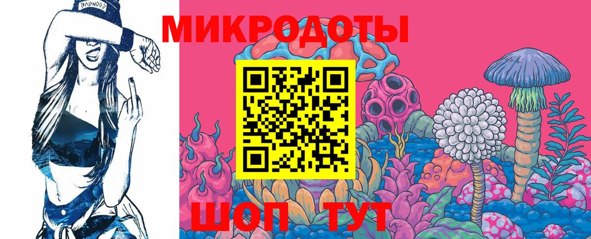 Галлюциногенные грибы Cubensis Геленджик
