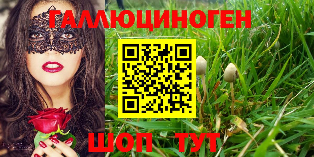 Галлюциногенные грибы Magic Shrooms  Геленджик 