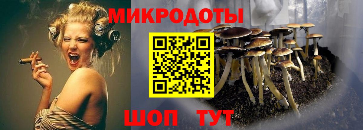 Геленджик  Псилоцибиновые грибы GOLDEN TEACHER  как найти наркотики  Вход с VPN 